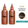 Clairol B18D Darkest Brown Semi-Permanent Beautiful Collection